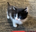 So tiny!