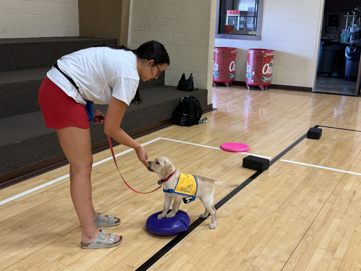 My aunt J training with me at puppy class!