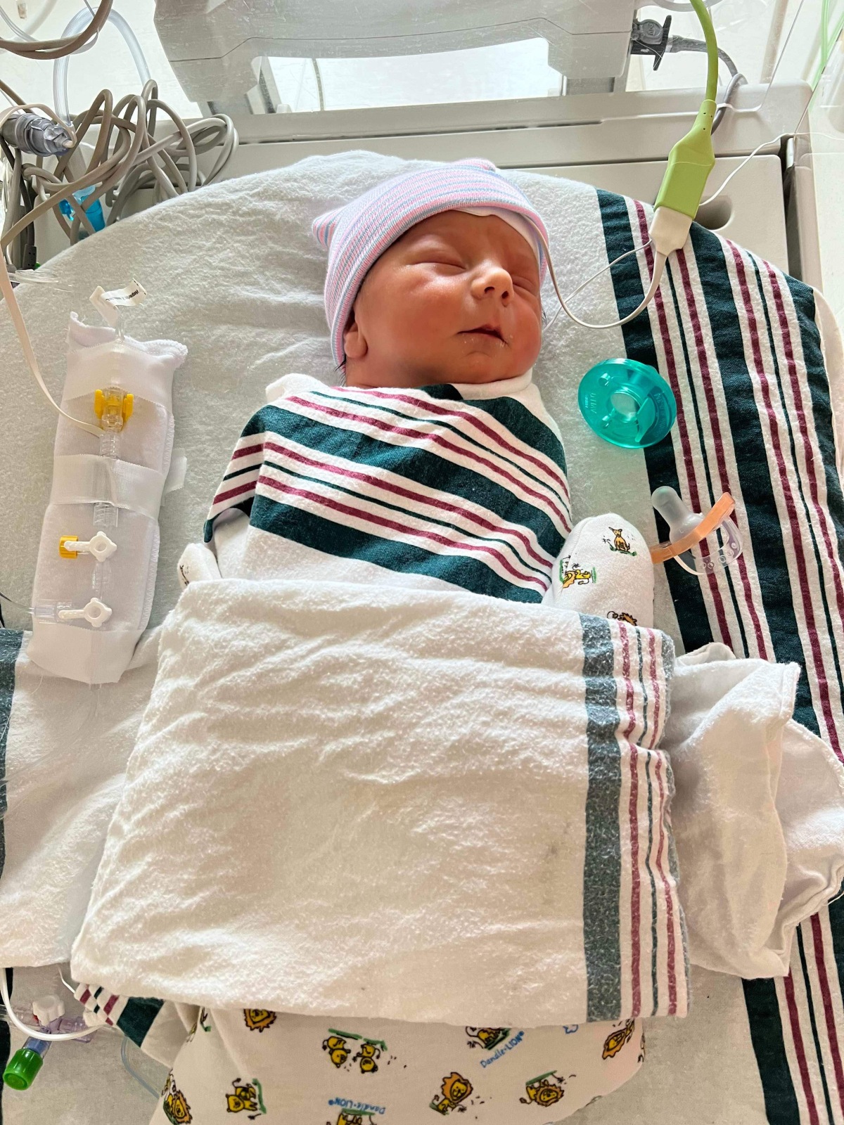 1 Day Old
