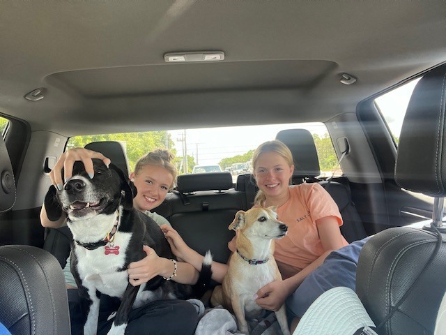 The girls and the dogs would like your help!!!