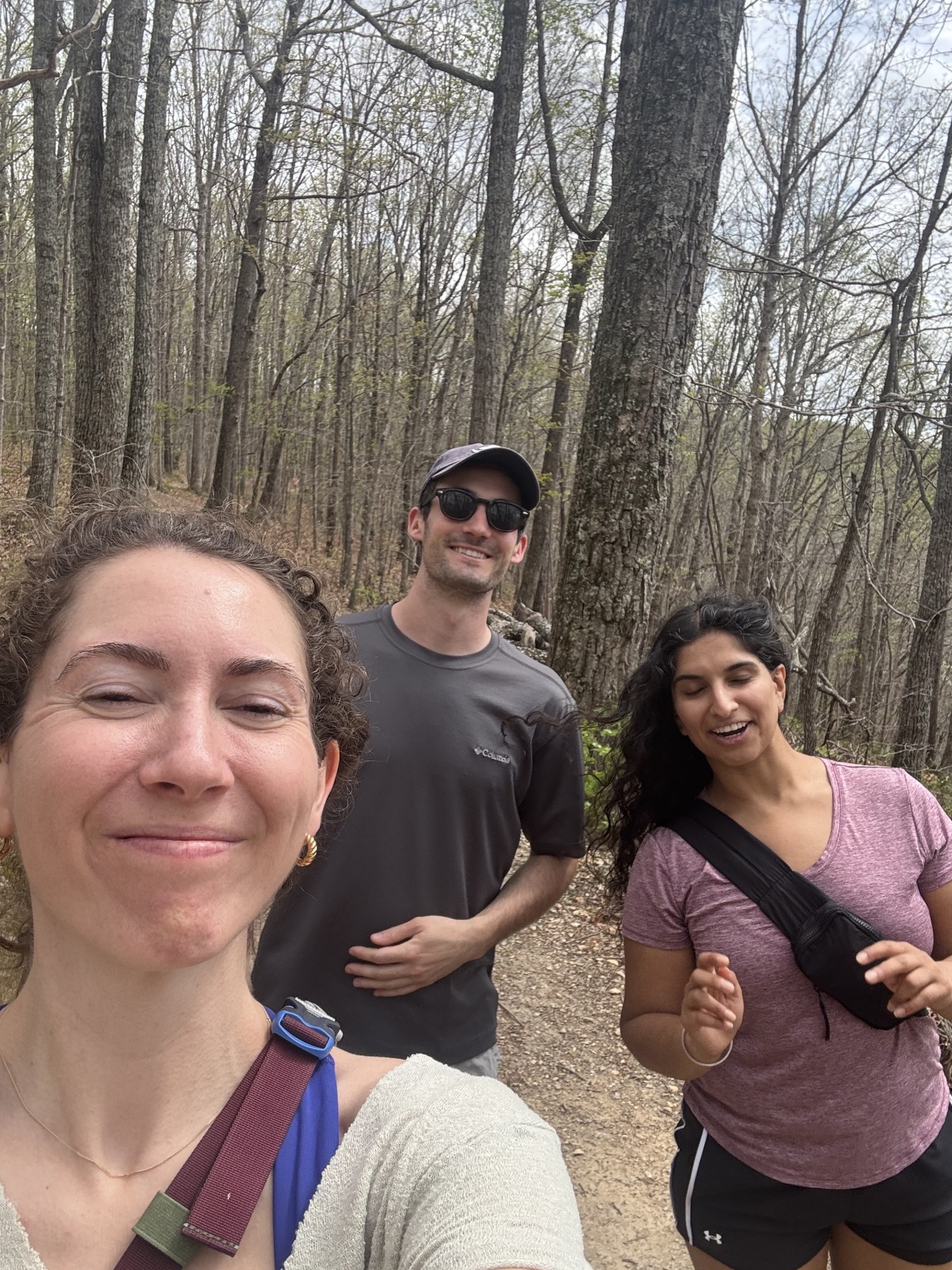 Beaman Park - Henry Hollow and Sedge Hill Trail