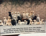 Prim’s (also known as Rosie) graduating class
