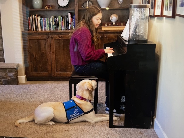 Harp watching me play piano