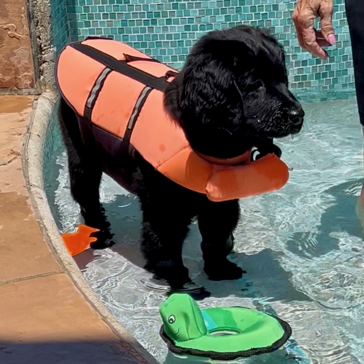 My 1st Day in the  pool….just Magic