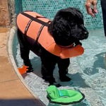 My 1st Day in the  pool….just Magic