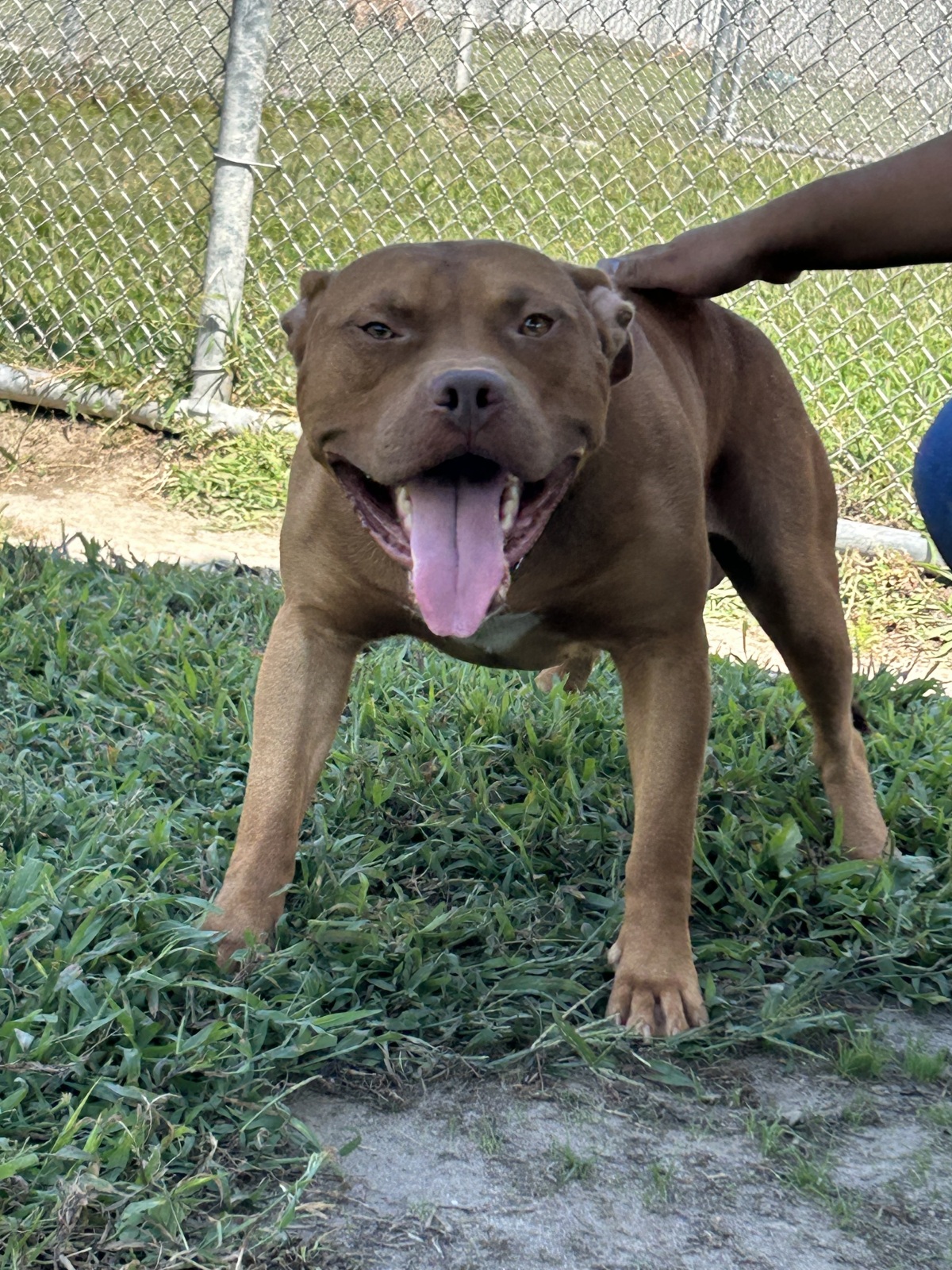 Groucho happy cause he’s getting the pets he deserves