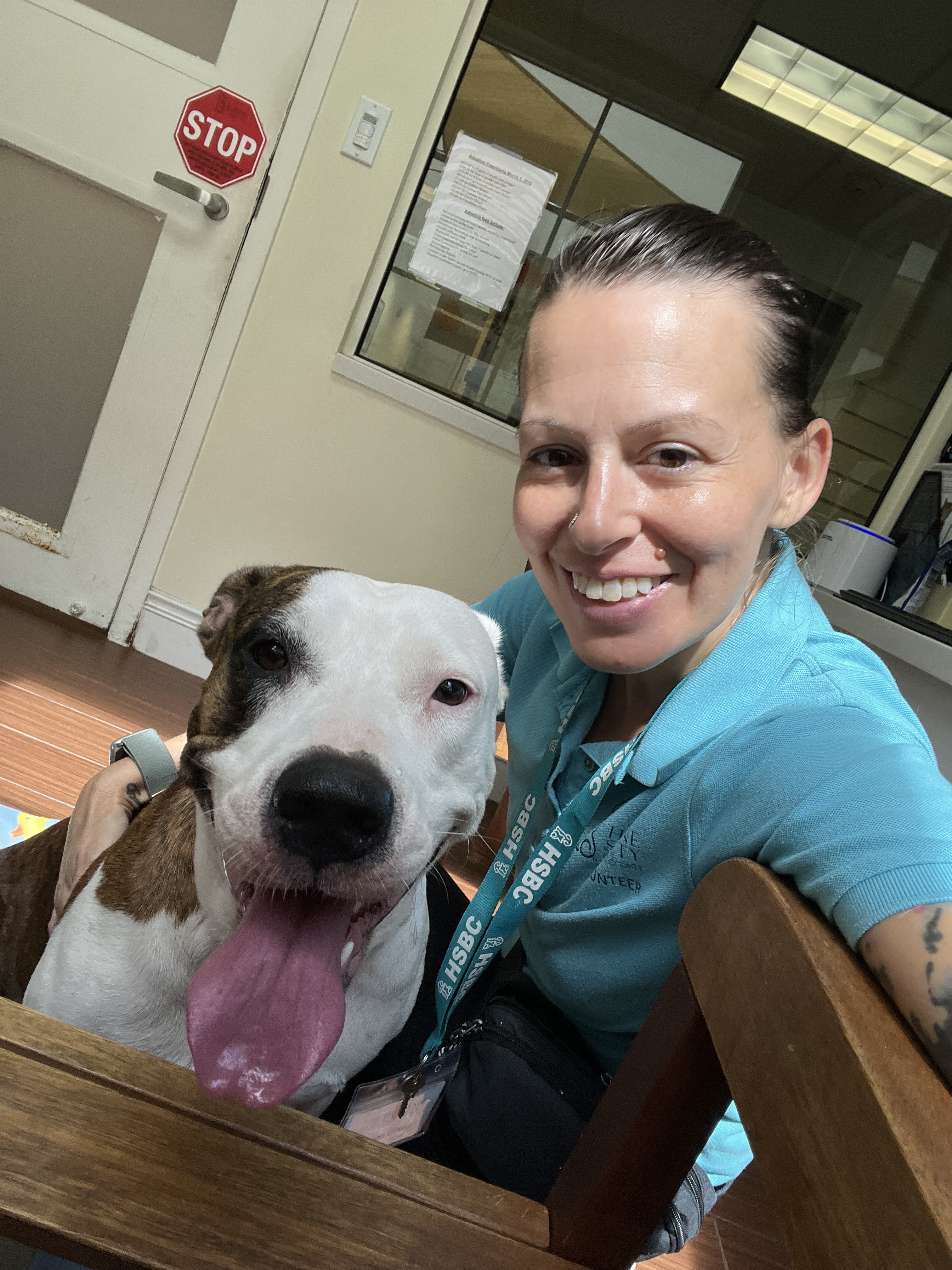 During one of my Volunteer Days working with the Dogs in Progress