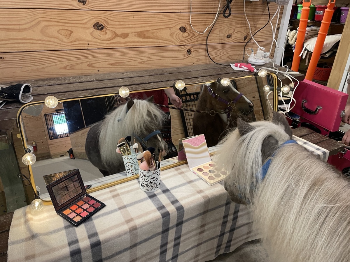 Peanut and Banana getting ready for Hoe-Down