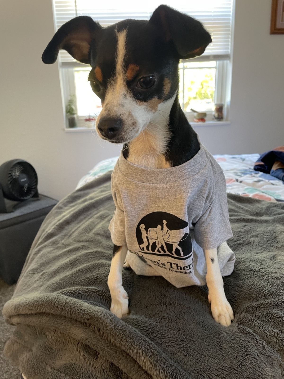 Ollie in his TherAplay T-shirt
