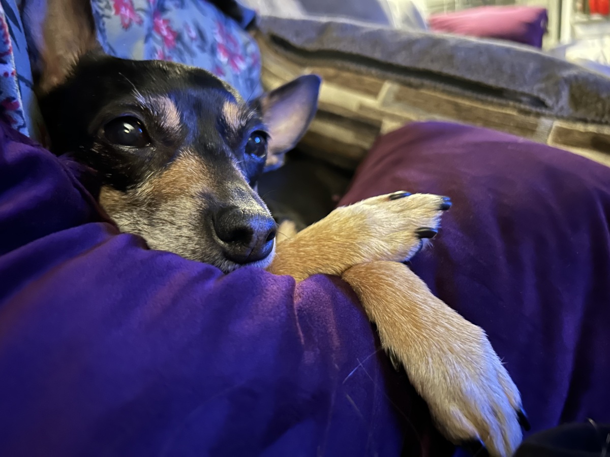 Velvet pillows strongly encouraged.