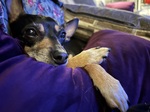 Velvet pillows strongly encouraged.