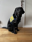 Peabody's first day of Medical School