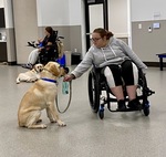 Task “get” & “give”