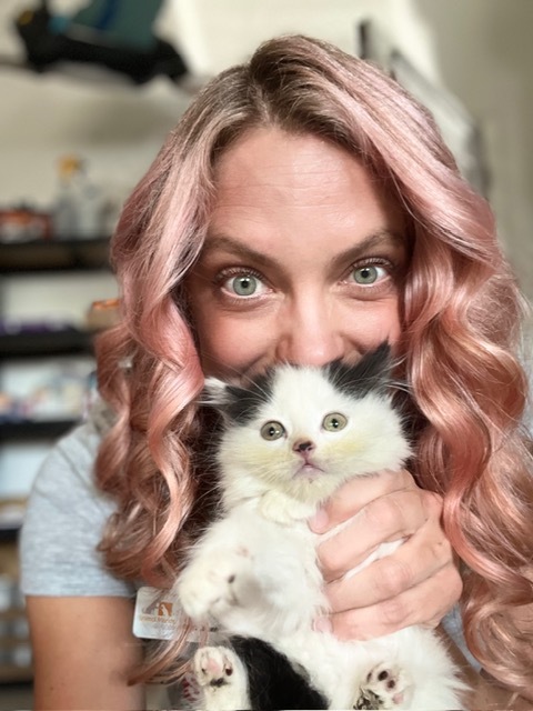 "Feral" kitten squeeze
