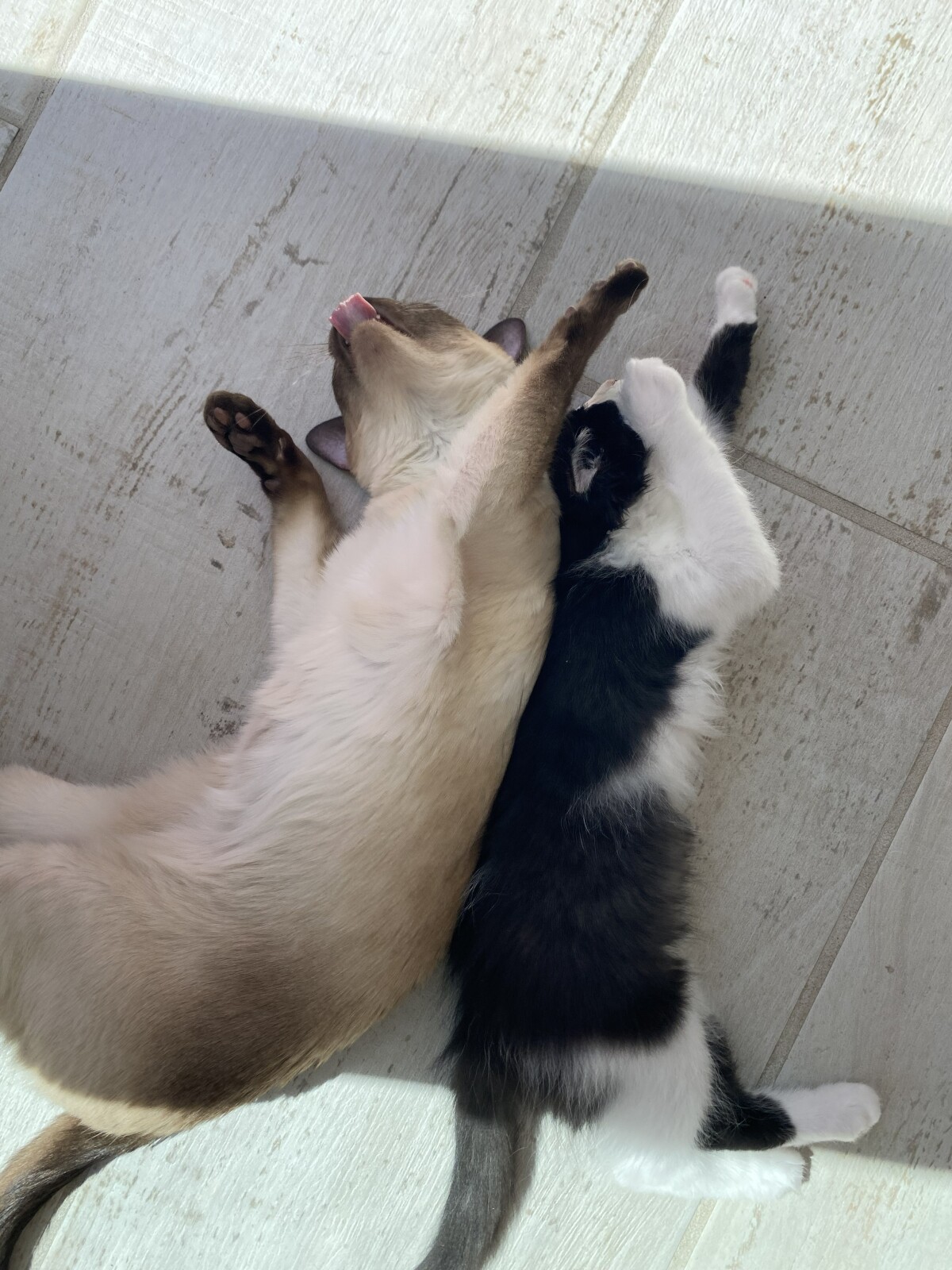 Best friends since the beginning