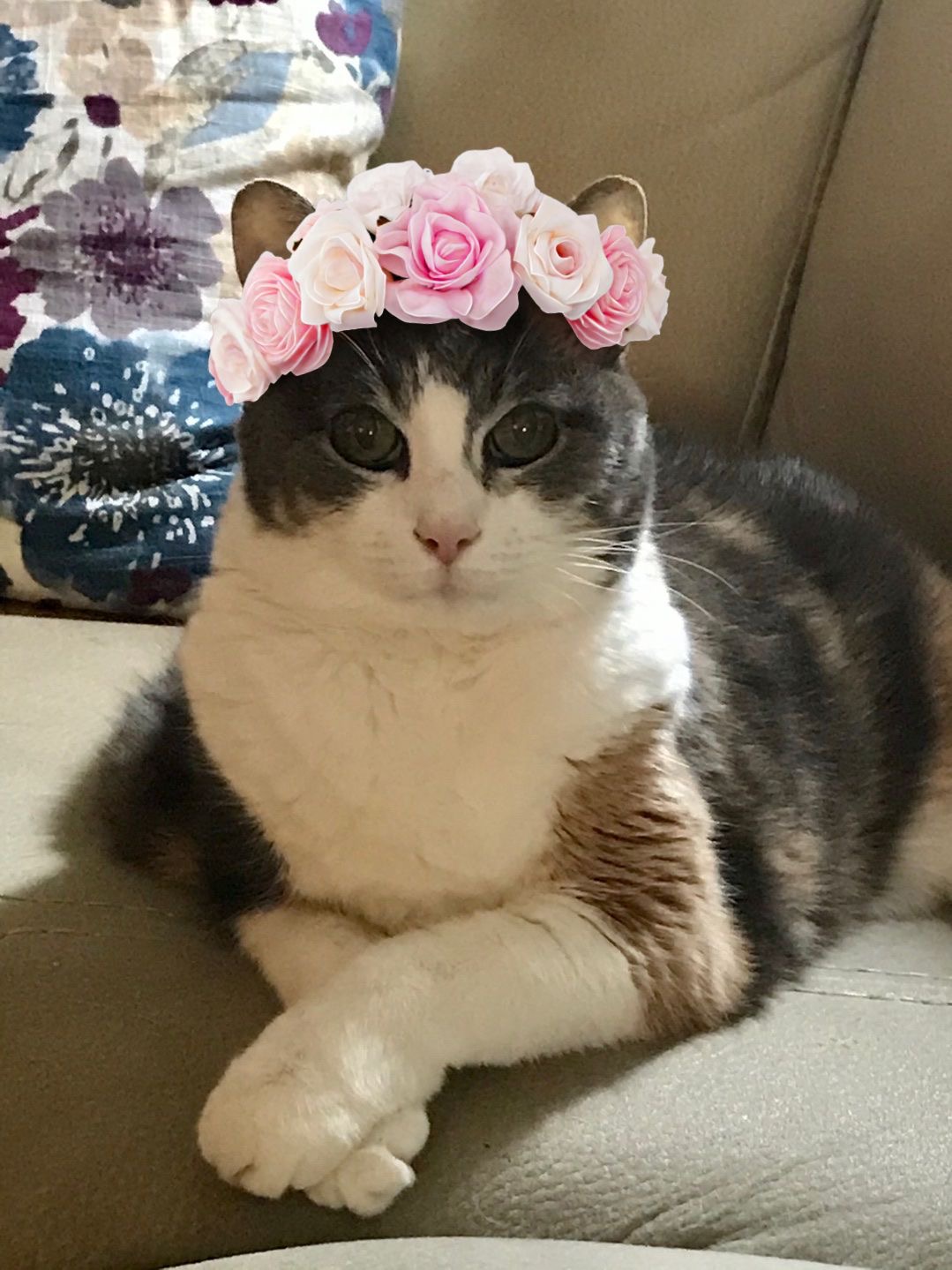 Carole’s girlfriend, Kat! She was pretty and prissy!