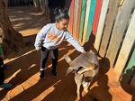 Petting the Kangaroo