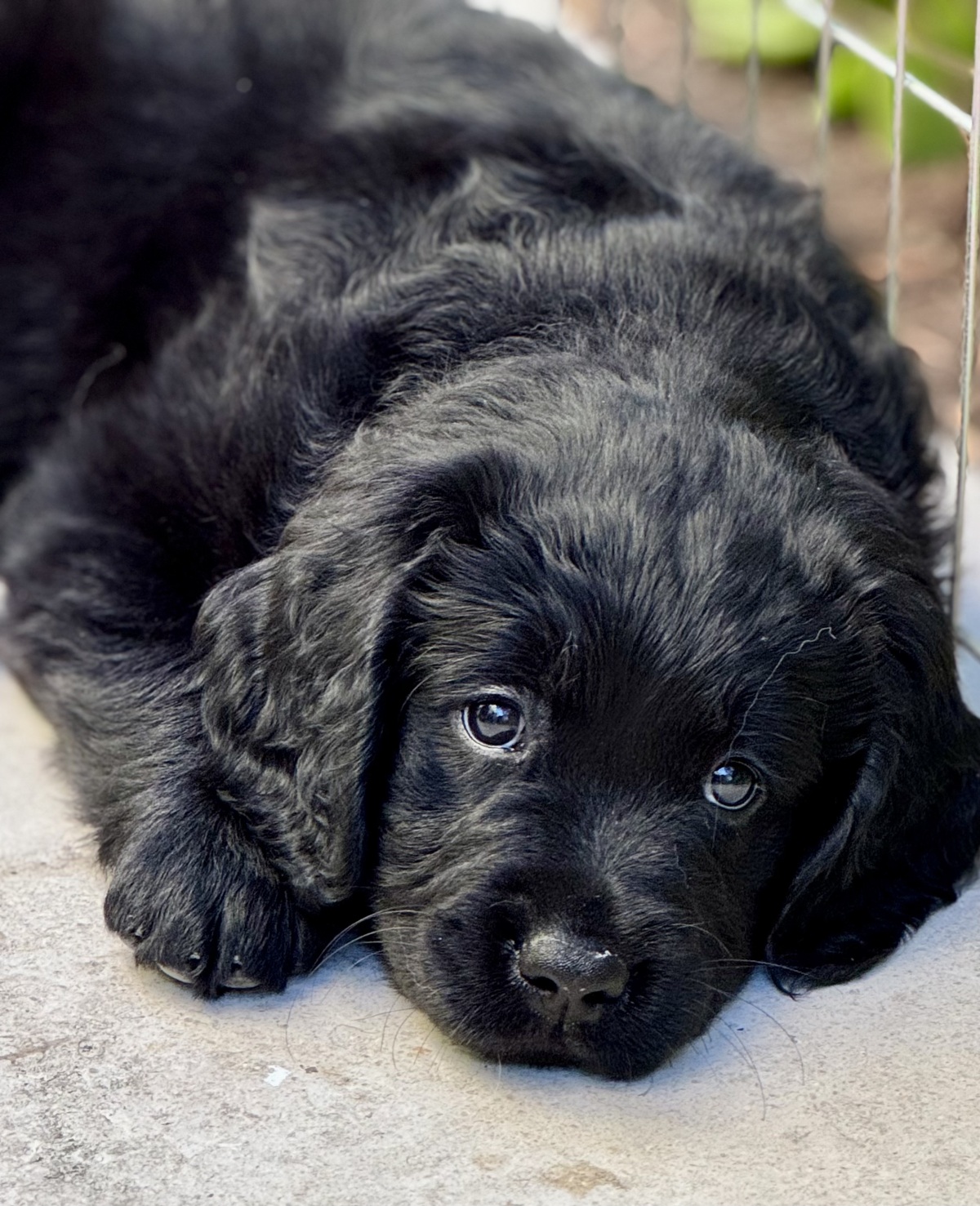 Magic at 7 weeks