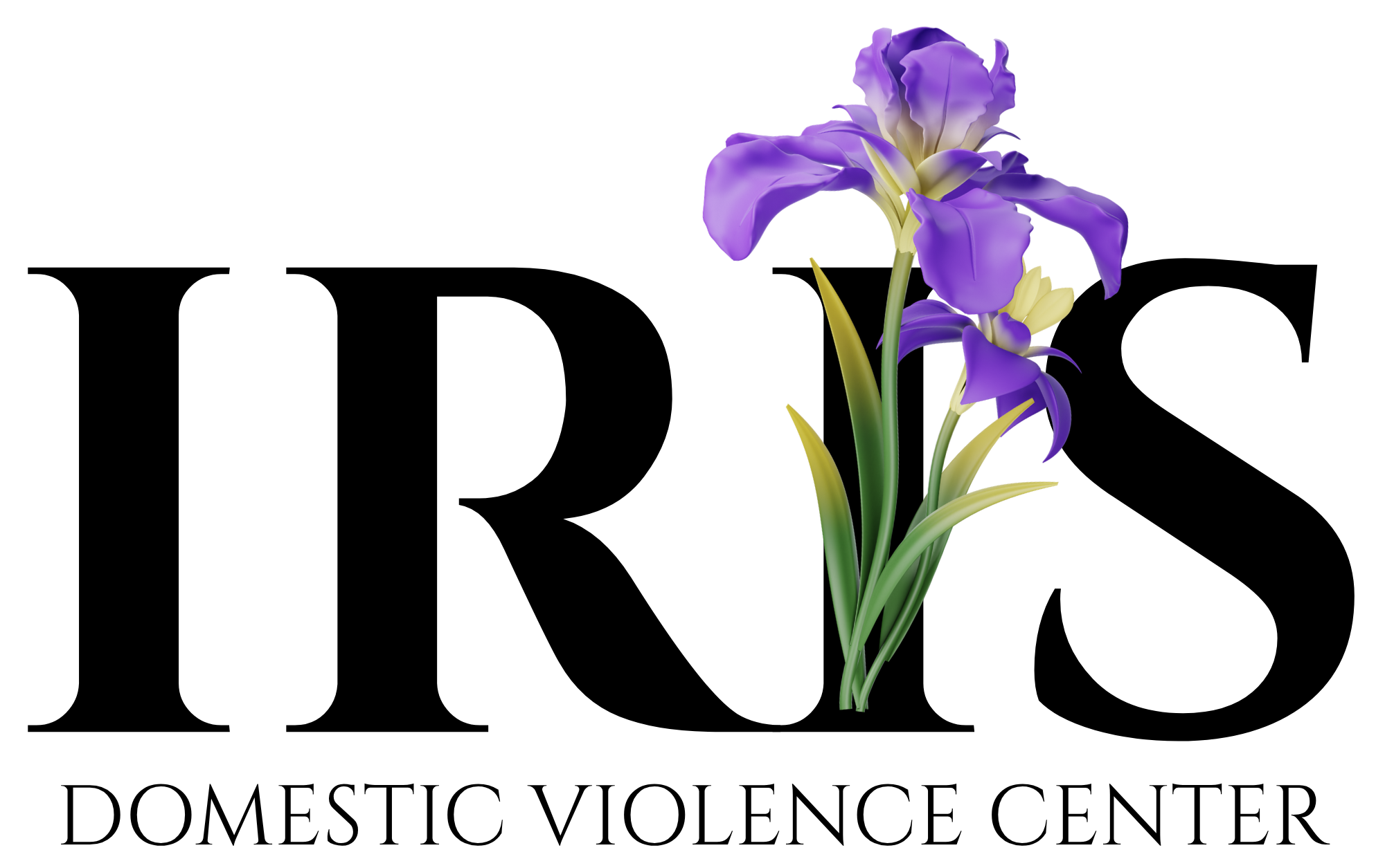 Iris Domestic Violence Center
