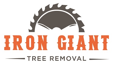 Iron Giant Tree Removal