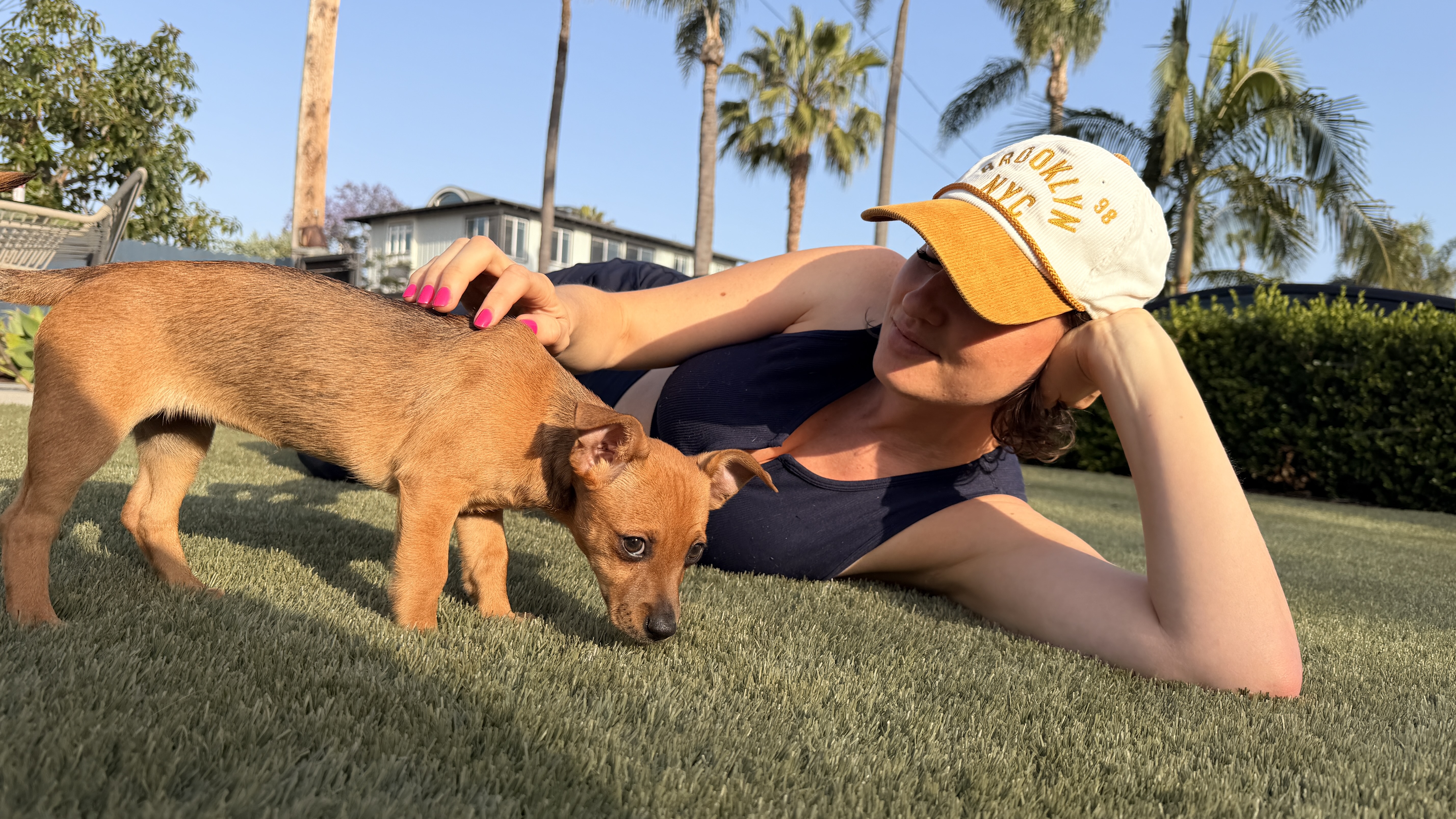 Join Taylor in saving dogs to celebrate her 8th year of business!