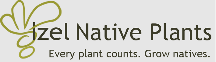 Izel Native Plants