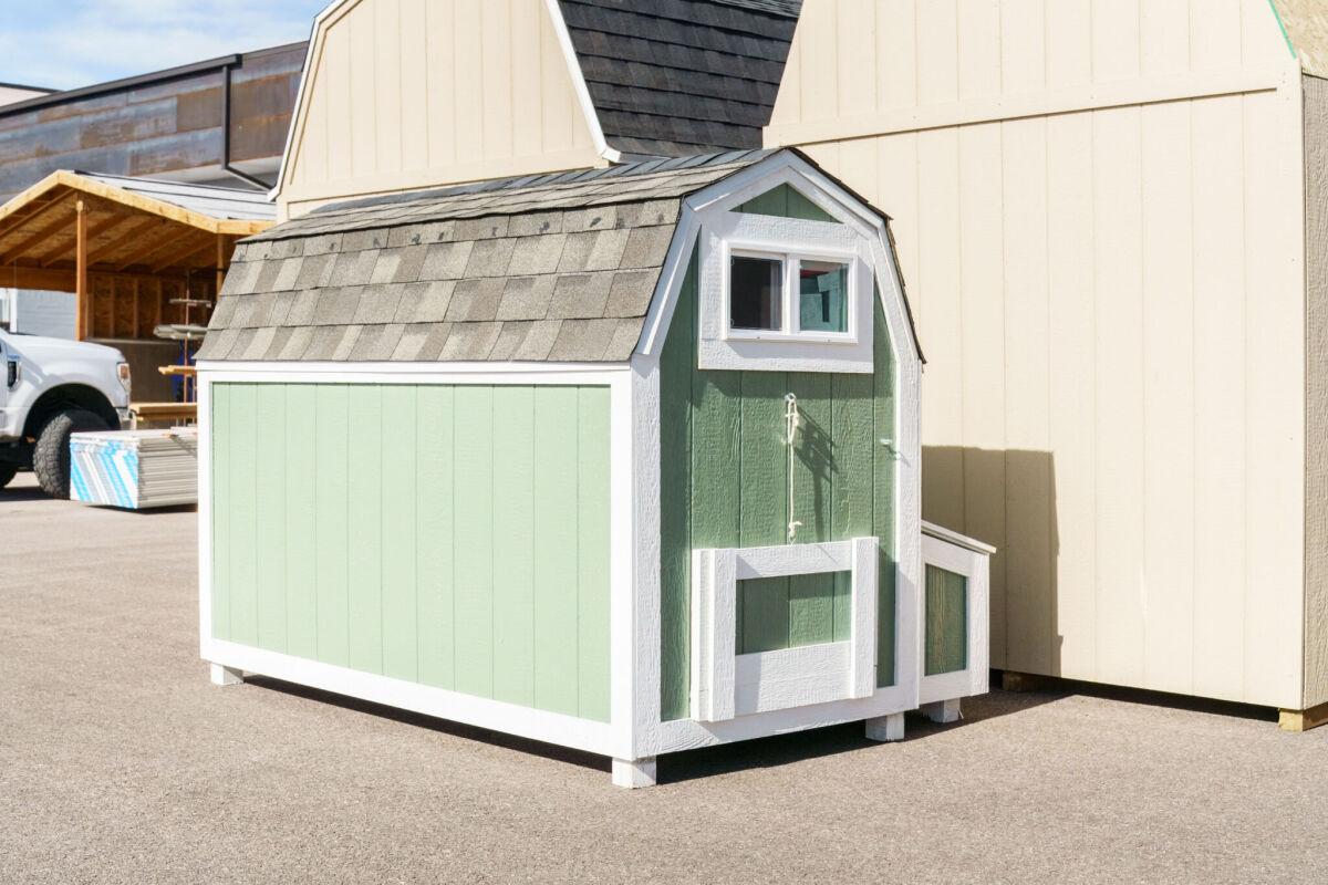 Chicken Coop