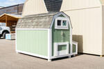 Chicken Coop
