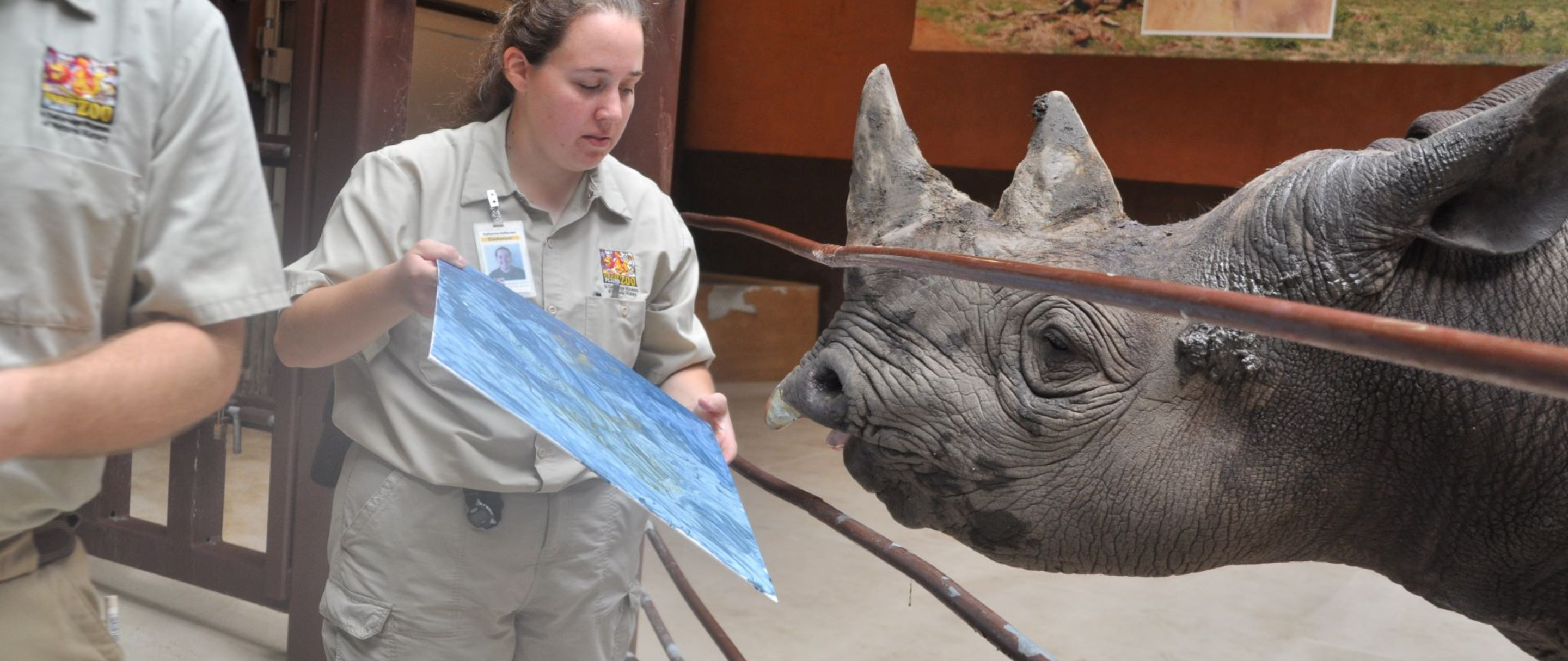 Rhino Art Experience