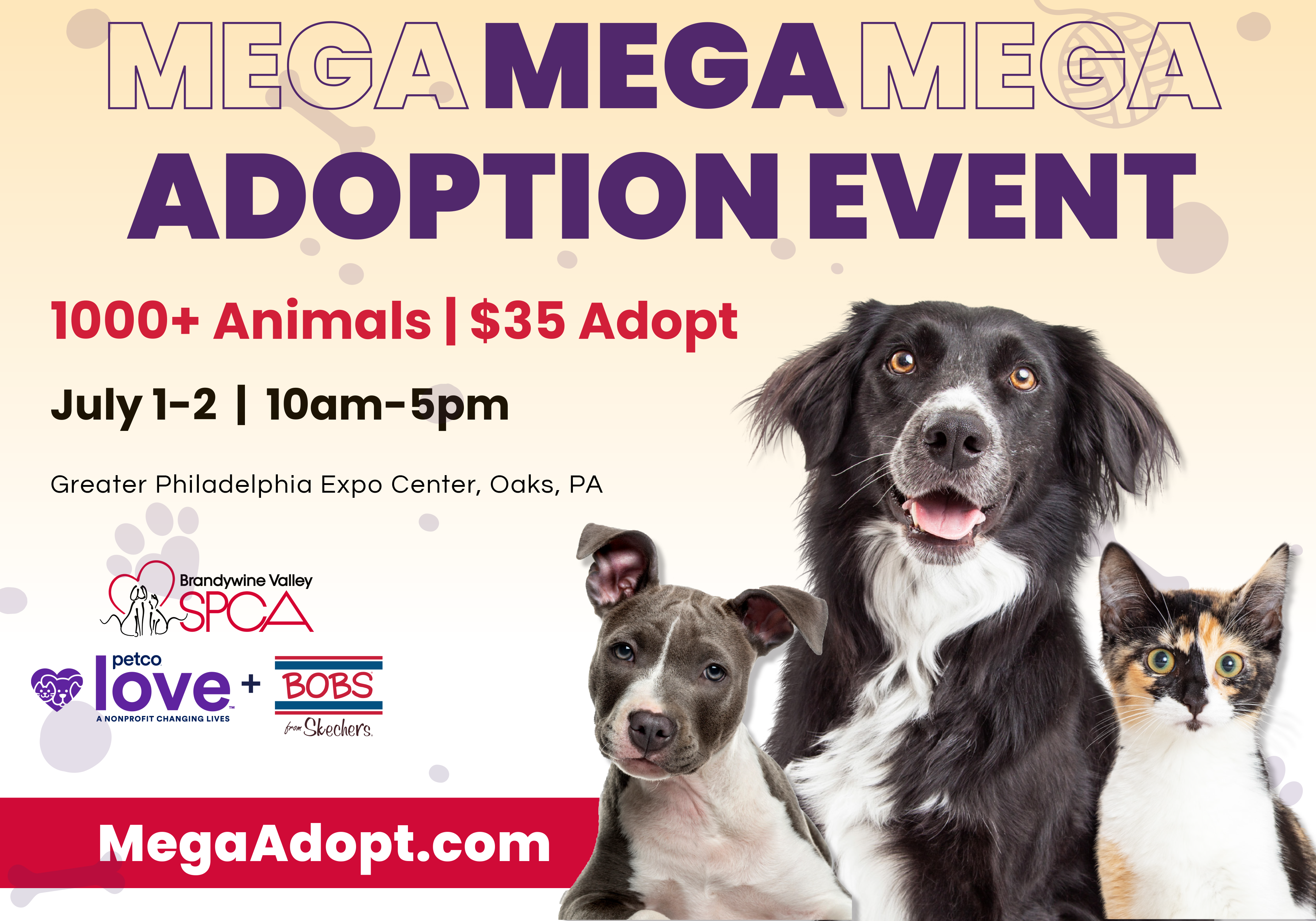 Brandywine Valley SPCA