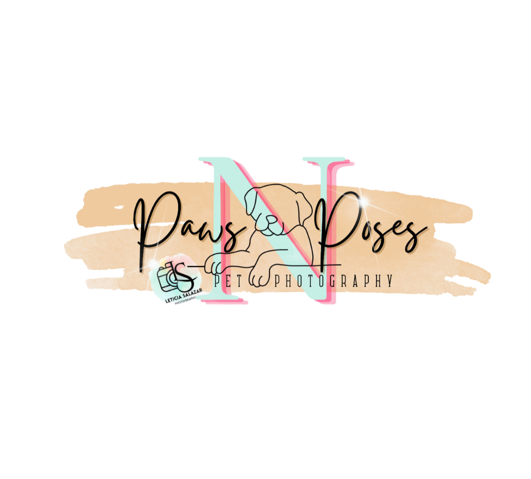 Paws N' Poses 