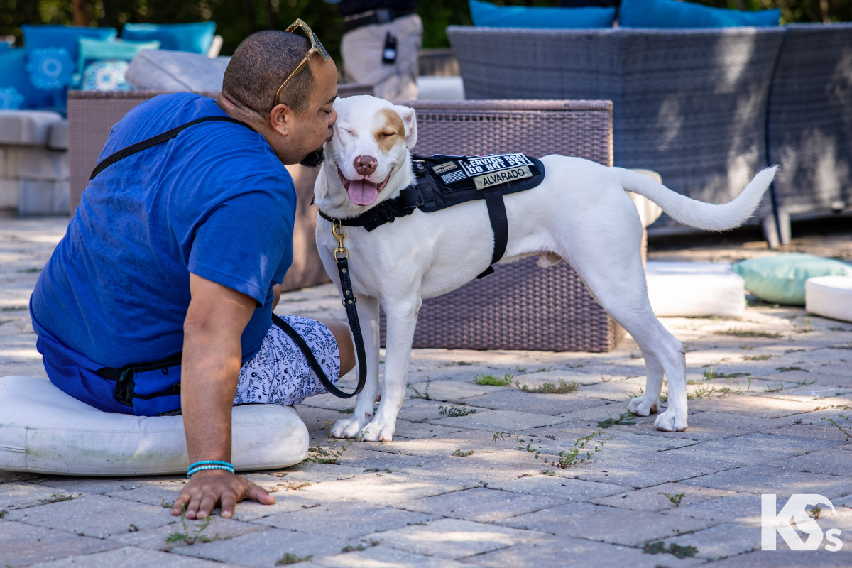 Love at First Wag