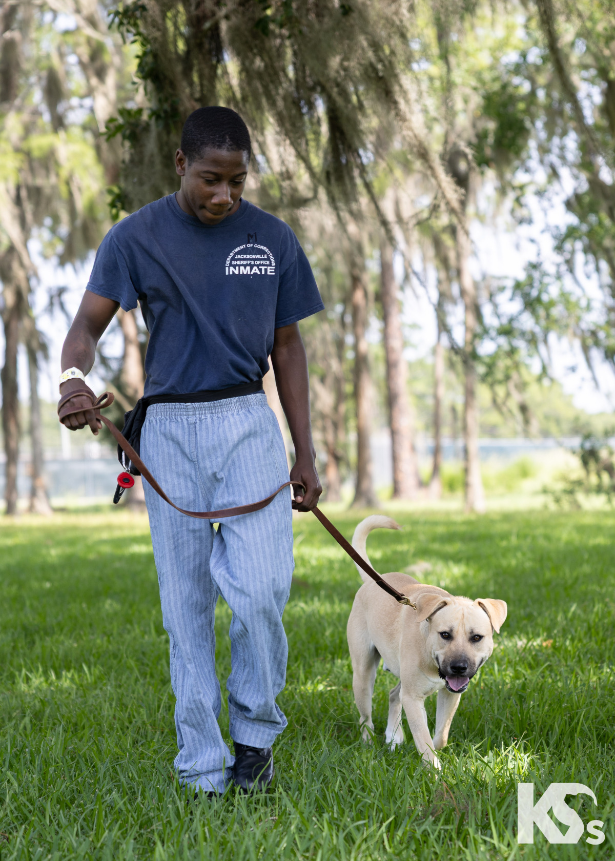 Future Service Dog Cache