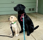 Emma at 17 months / Kai at 10 weeks