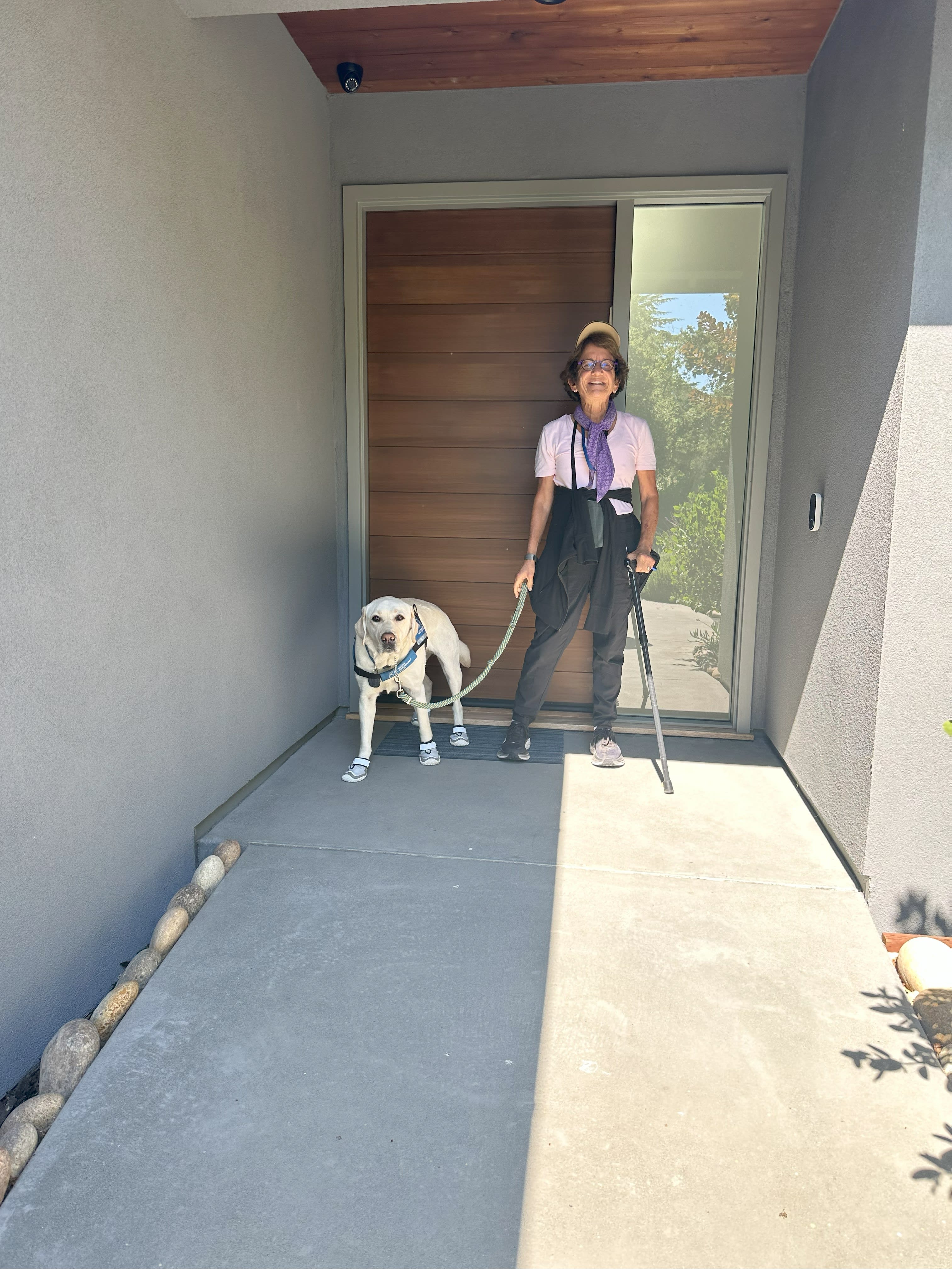 With summer heat, Primrose learned to appreciate wearing shoes for our daily walks.