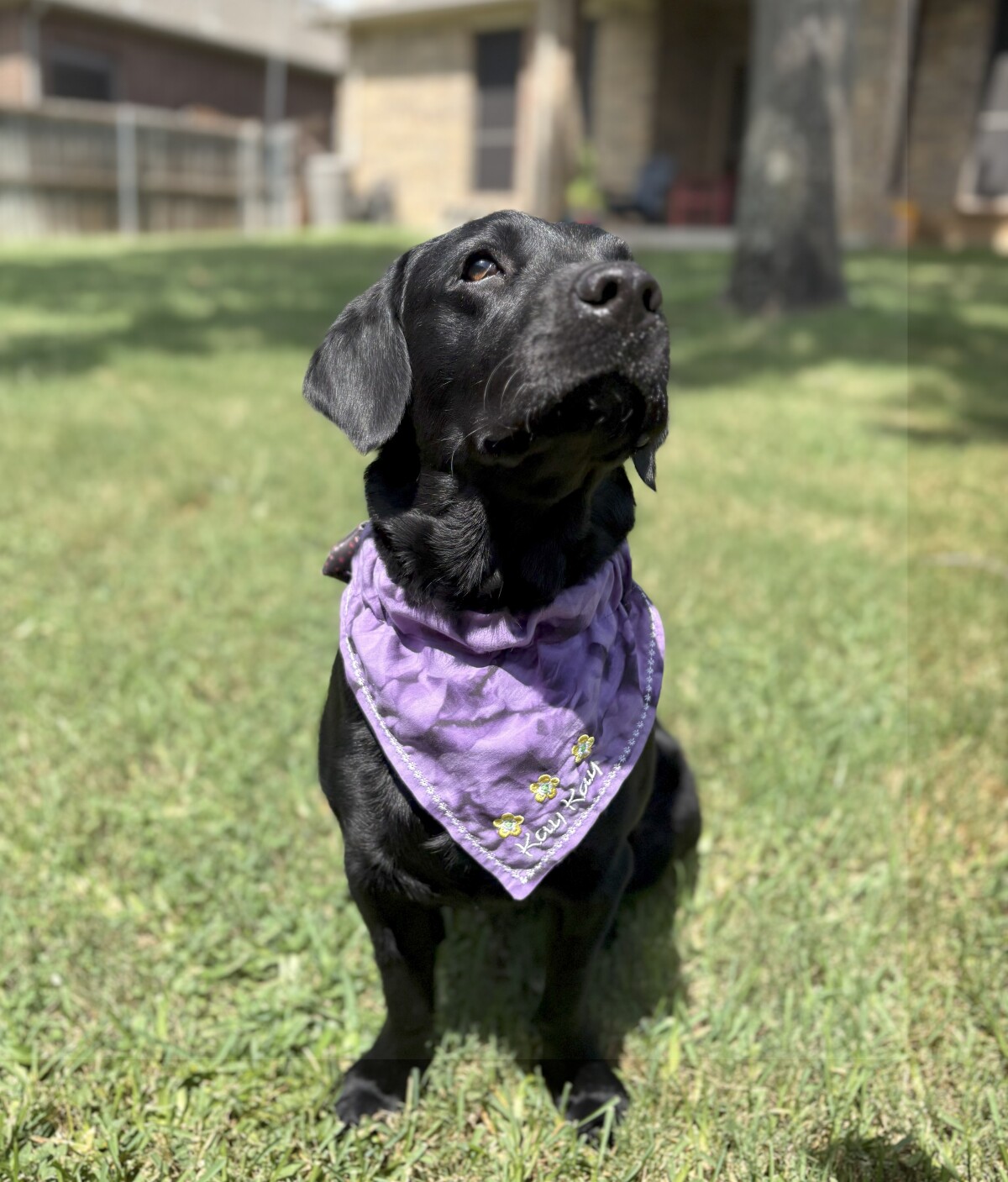 Happy Birthday KayKay!