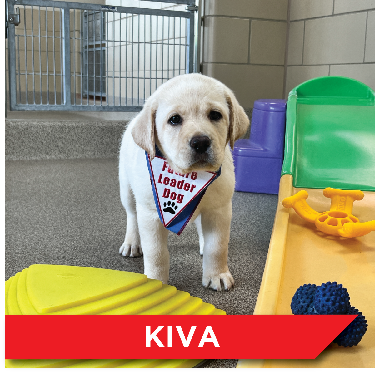 Candidate 2 - Kiva