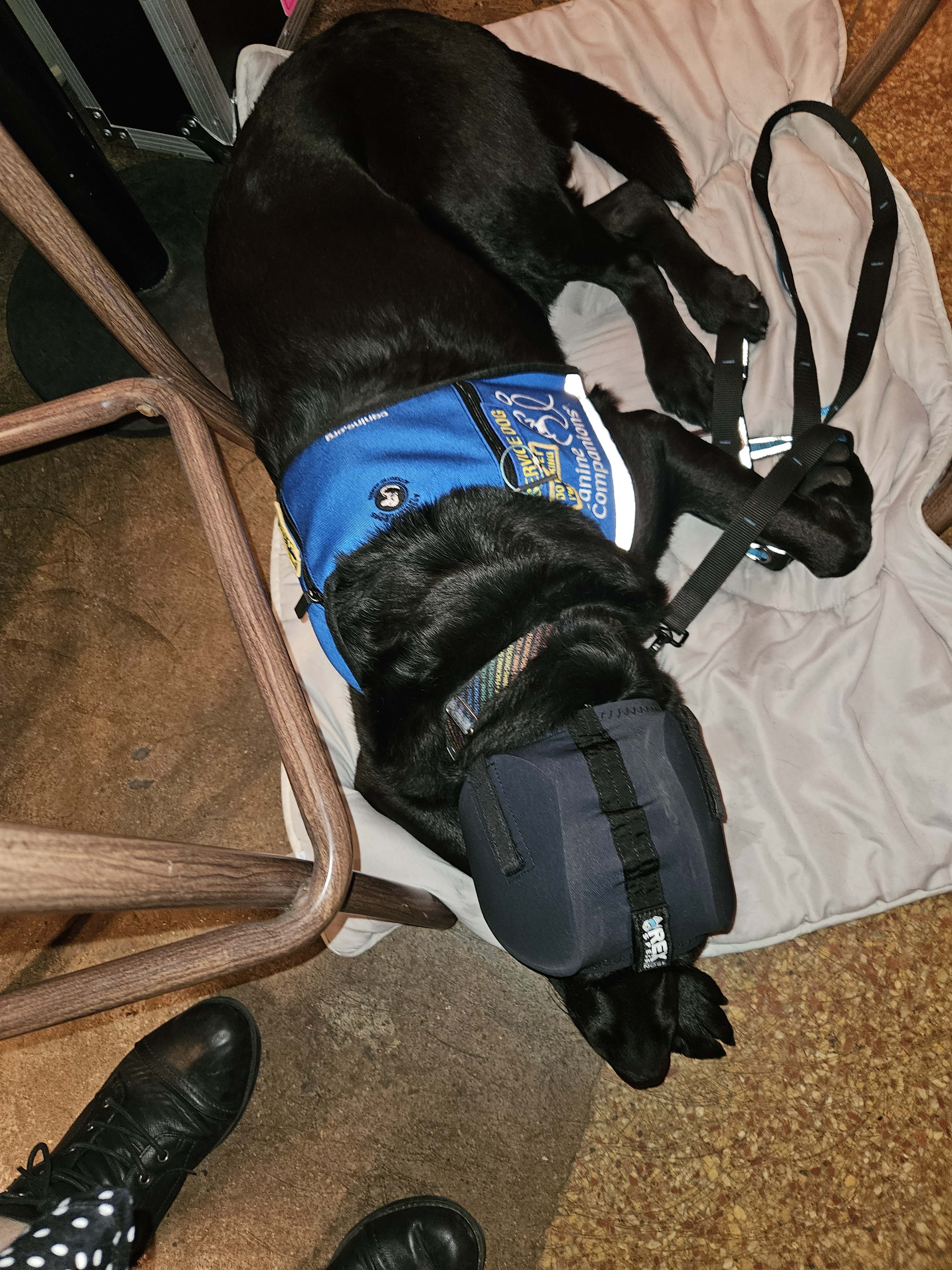 Klondike in ear protection