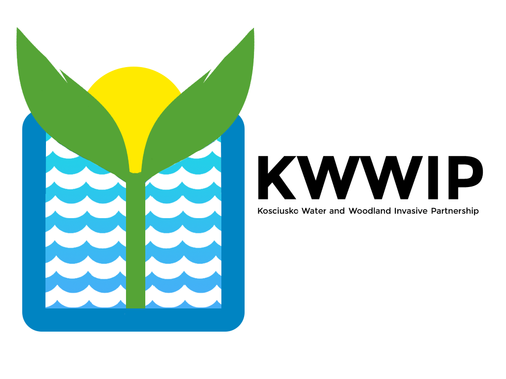 Kosciusko Water and Woodland Invasive Partnership