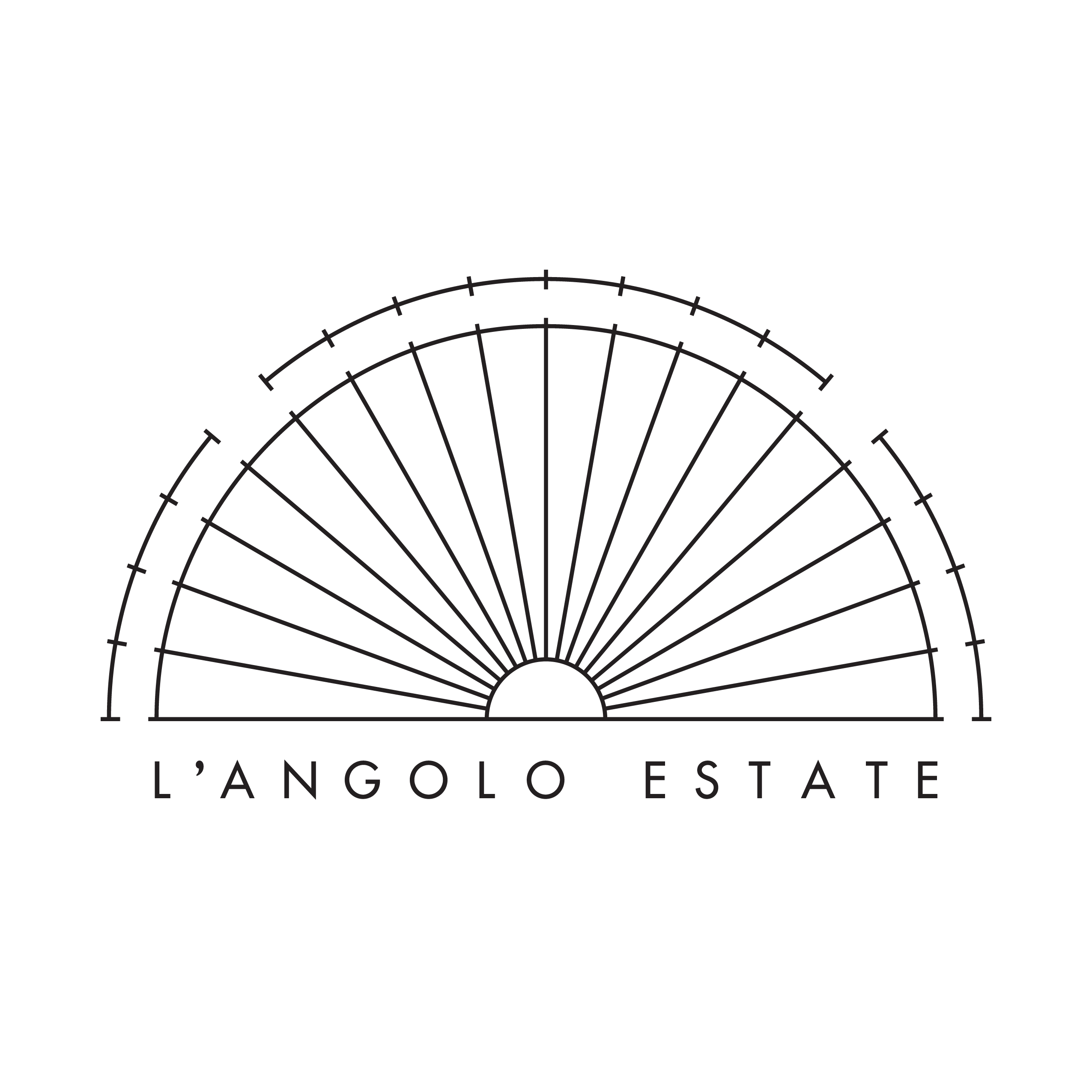 L'Angolo Estate Vineyard