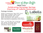 #13 - Celebrating Saratoga Springs – Presented by LaBella Associates