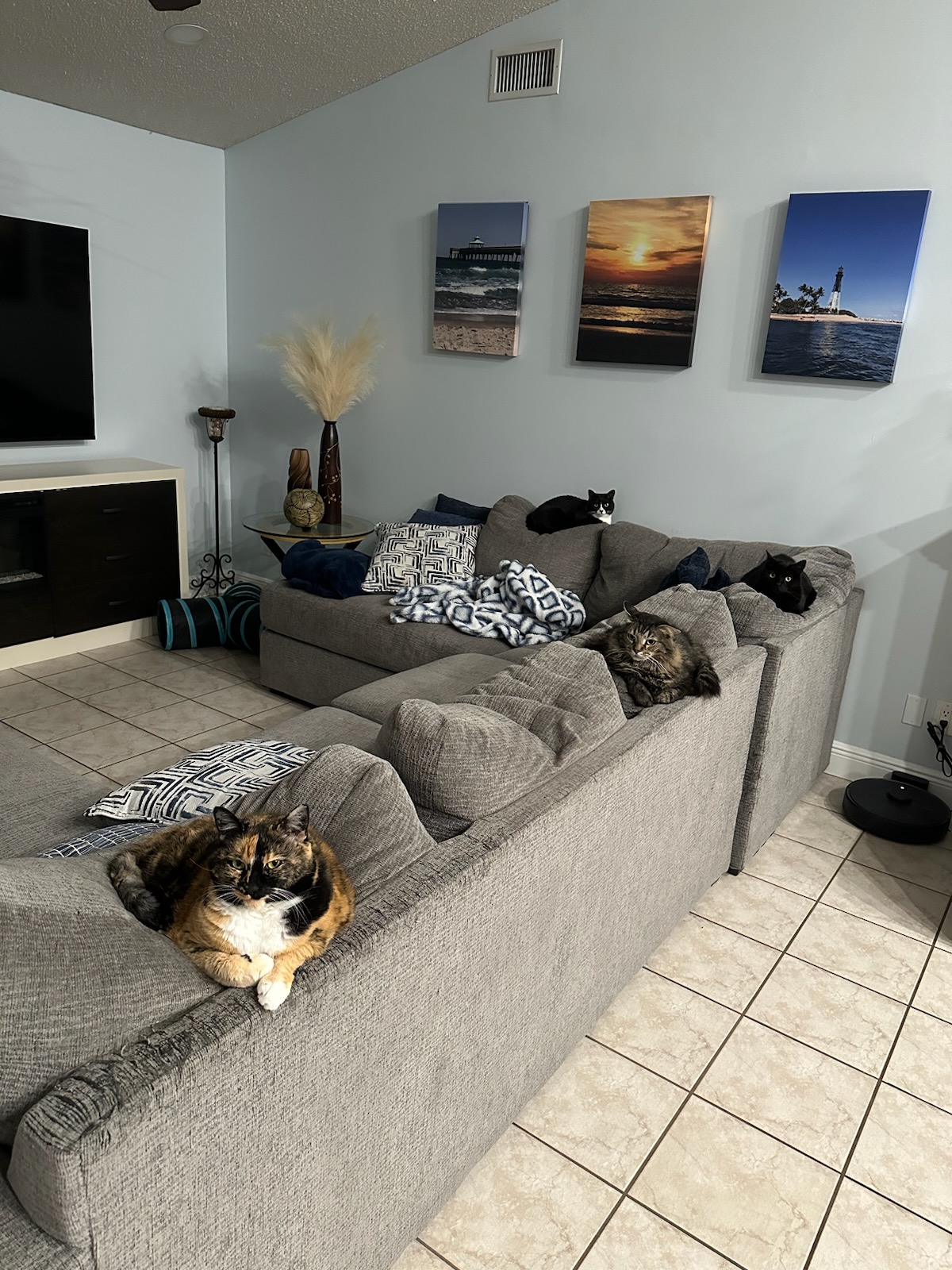 LAILA, MAKO, SAYLOR, RAYNE