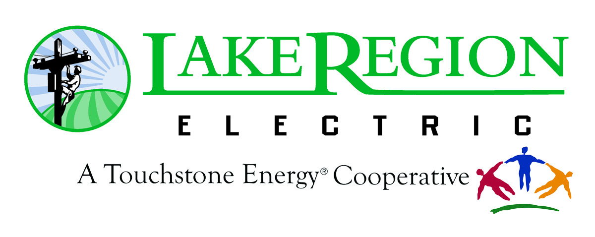 Lake Region Electric