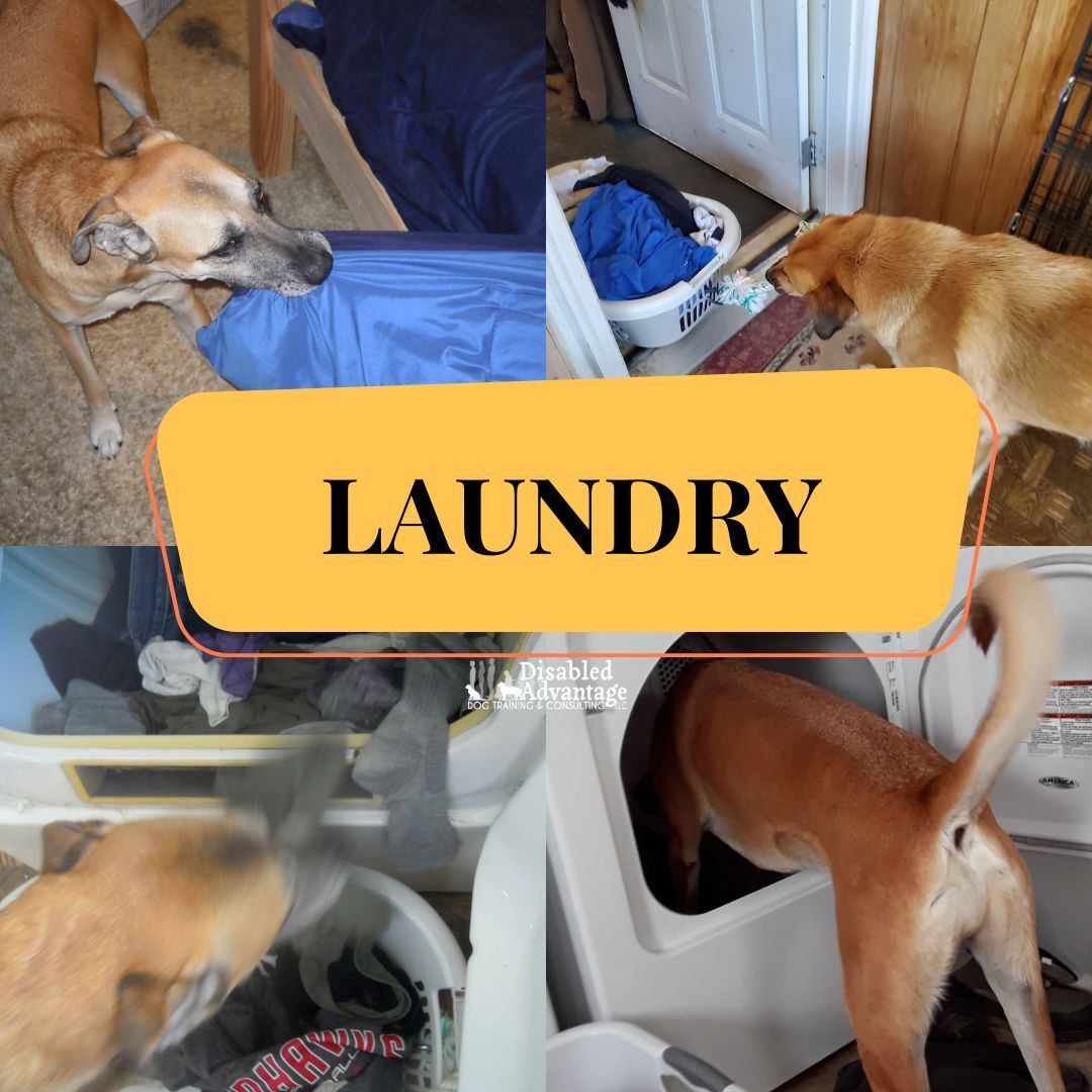 Help Us Do Laundry