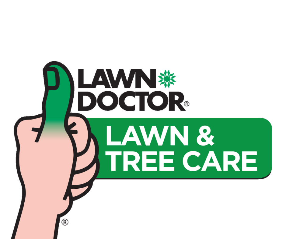 Lawn Doctor