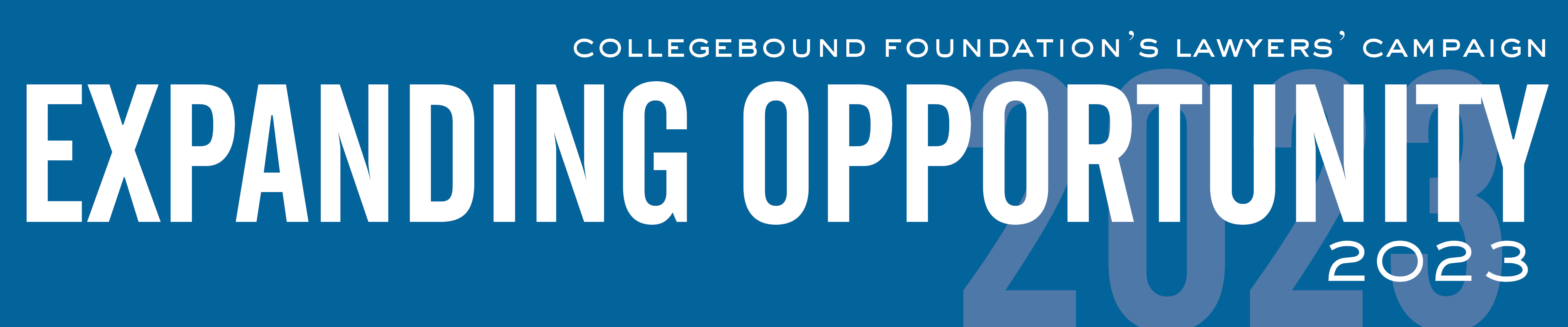 31st Annual Lawyers' Campaign