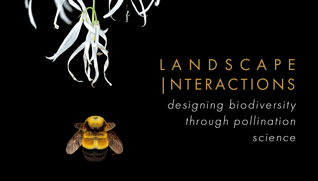 Landscape Interactions