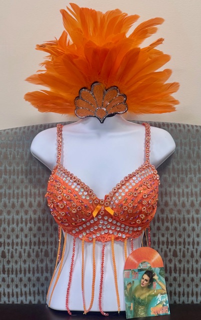 life of a show bra.jpeg