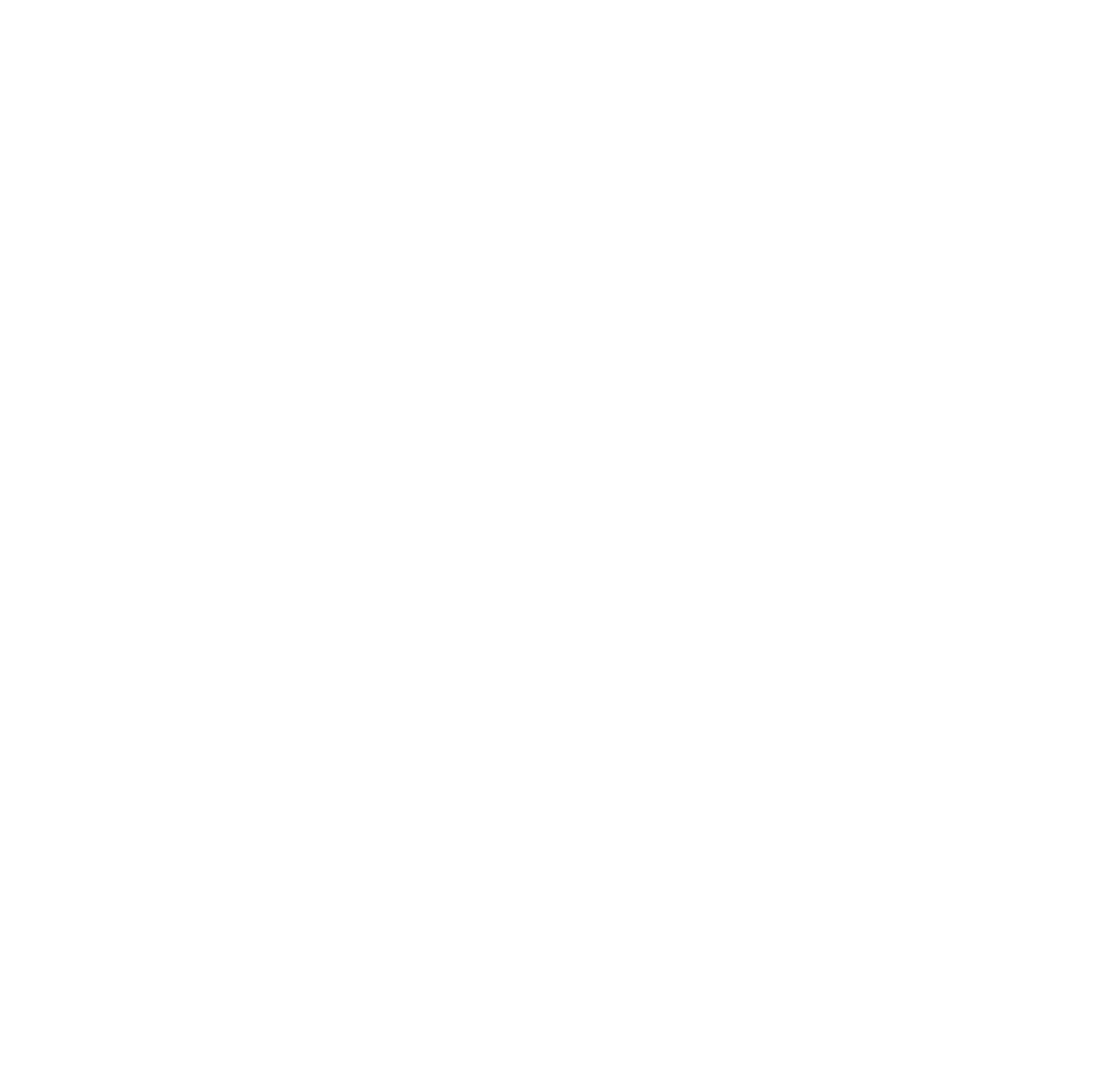 Lifespan Inc.