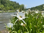 Conserving Coosa